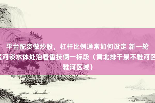平台配资做炒股，杠杆比例通常如何设定 新一轮城区河谈水体处治看重技俩一标段（黄北排干景不雅河区域）