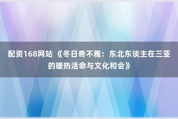 配资168网站 《冬日奇不雅：东北东谈主在三亚的暖热活命与文化和会》