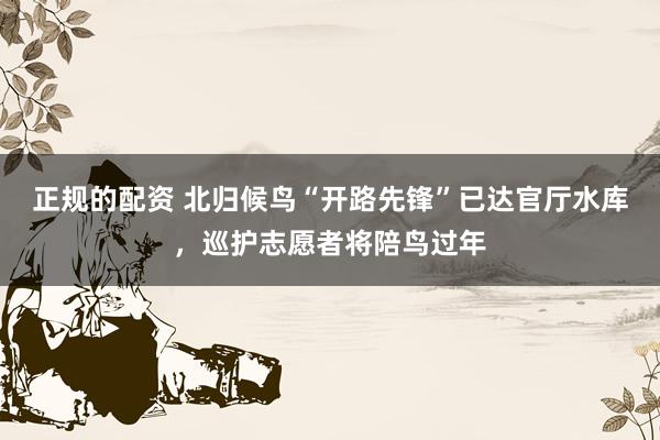正规的配资 北归候鸟“开路先锋”已达官厅水库，巡护志愿者将陪鸟过年