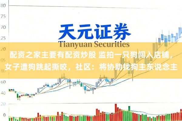 配资之家主要有配资炒股 监拍一只狗闯入店铺，女子遭狗跳起撕咬，社区：将协助找狗主东说念主