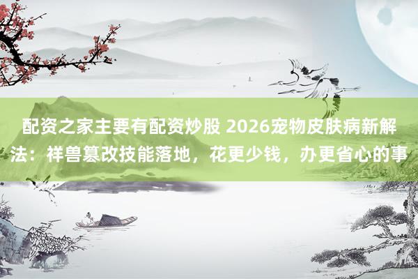 配资之家主要有配资炒股 2026宠物皮肤病新解法：祥兽篡改技能落地，花更少钱，办更省心的事