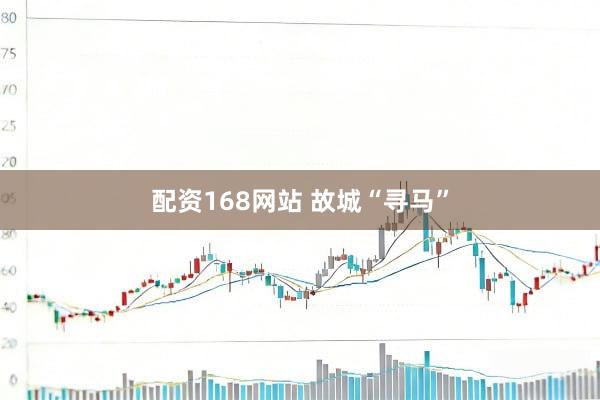 配资168网站 故城“寻马”