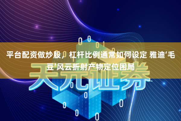 平台配资做炒股，杠杆比例通常如何设定 雅迪‘毛豆’风云折射产物定位困局