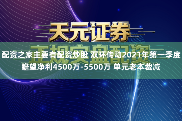 配资之家主要有配资炒股 双环传动2021年第一季度瞻望净利4500万-5500万 单元老本裁减