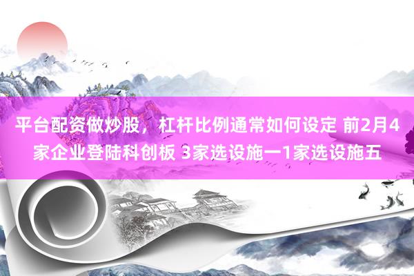 平台配资做炒股，杠杆比例通常如何设定 前2月4家企业登陆科创板 3家选设施一1家选设施五