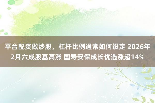 平台配资做炒股，杠杆比例通常如何设定 2026年2月六成股基高涨 国寿安保成长优选涨超14%