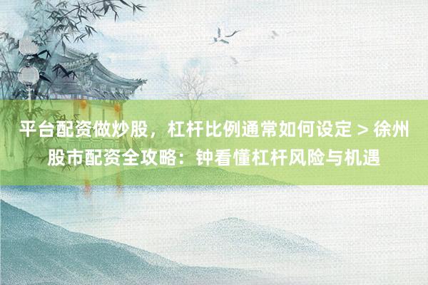 平台配资做炒股，杠杆比例通常如何设定 > 徐州股市配资全攻略：钟看懂杠杆风险与机遇